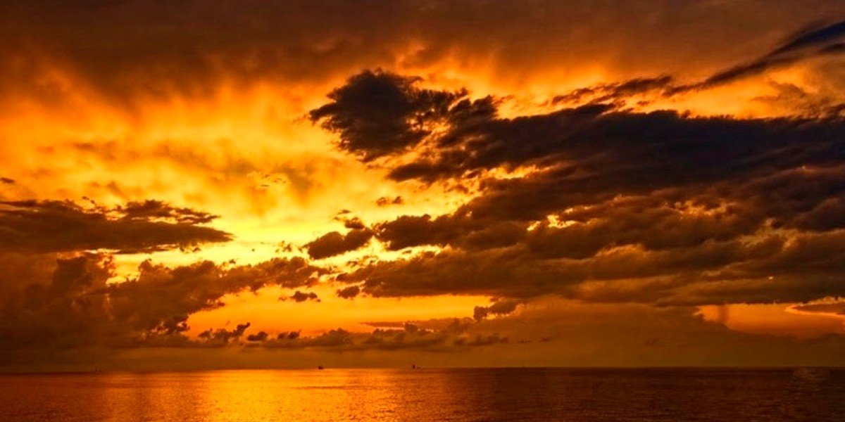 More Reliable than the Sunrise I Daily Walk Devotion