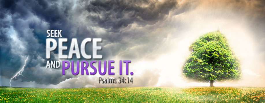 Pursue Peace