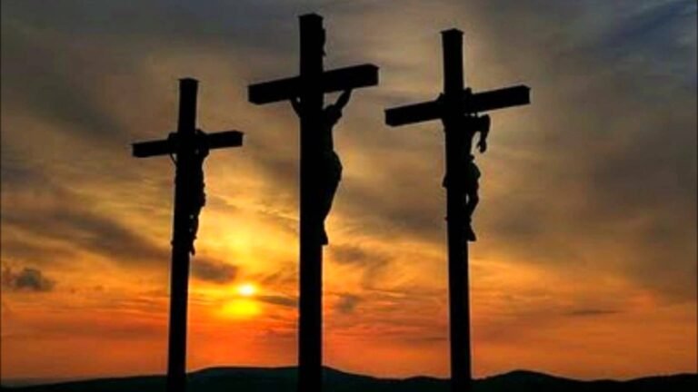 Forgive Them I Daily Walk Devotion