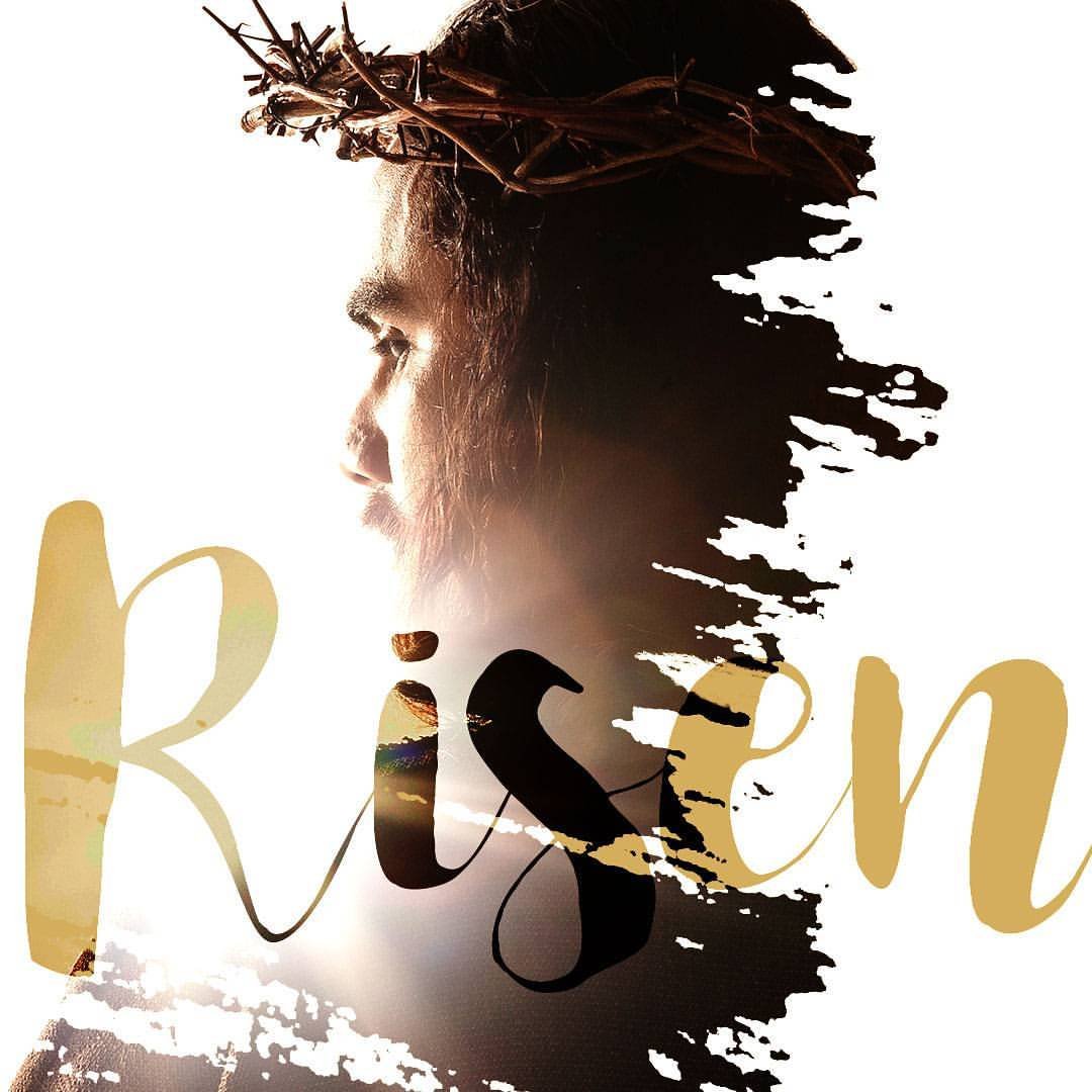 Christ Has Risen I Daily Walk Devotion