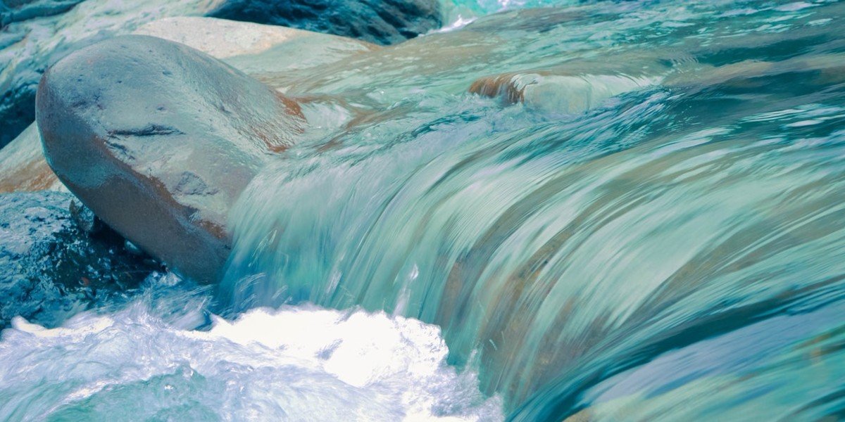 Distinguish Between Clean and Unclean I Daily Walk Devotion