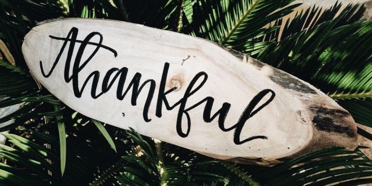 abounding thanksgiving lg daily walk devotion