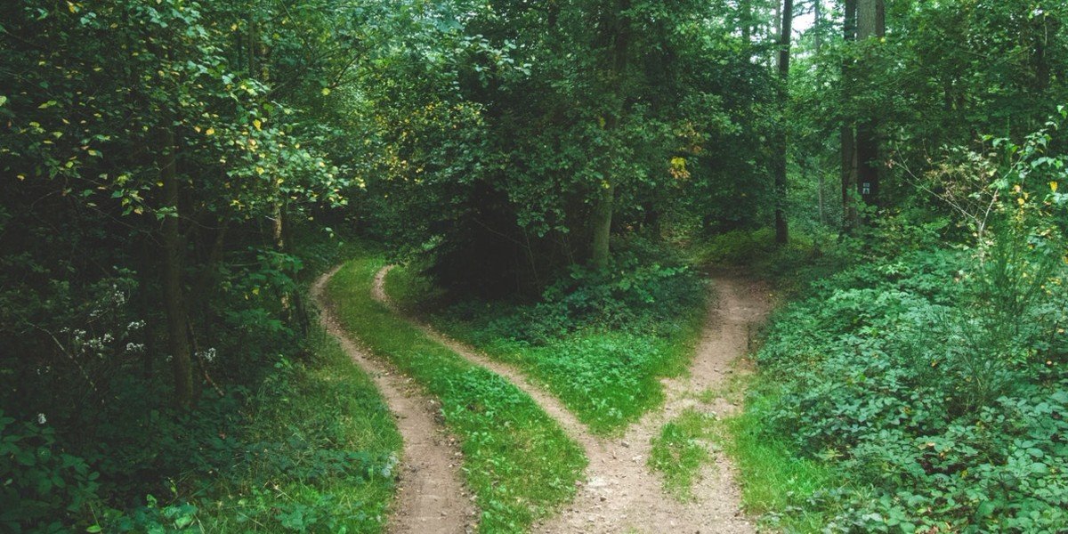 The Path to Health - Daily Walk Devotional