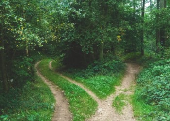 The Path to Health
