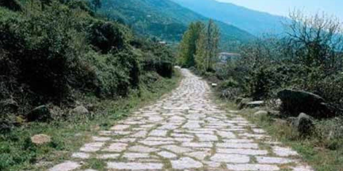 Path of Opportunity I Daily Walk Devotion
