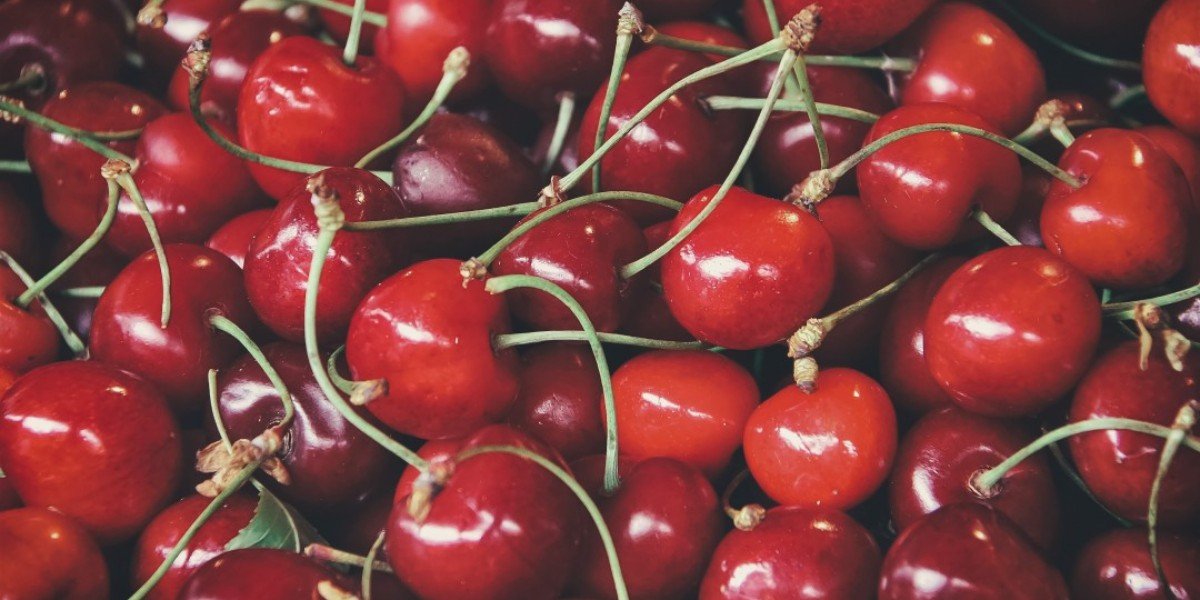 Be Fruitful and Multiply I Daily Walk Devotion