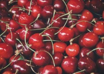 Be Fruitful and Multiply