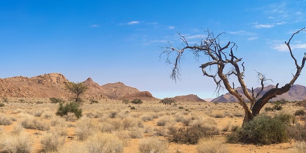 Sustained in the Wilderness I Daily Walk Devotion
