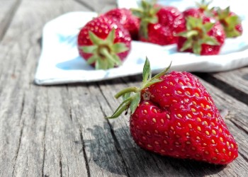 Fruit of Our Lips