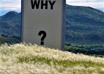 Making Sense of It All