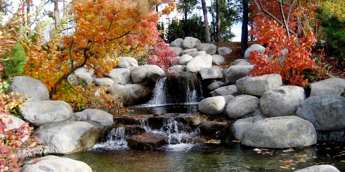 Fountain of Life I Daily Walk Devotion