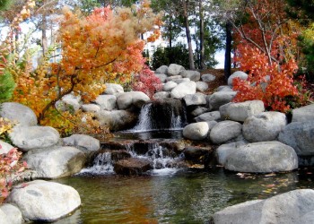 Fountain of Life