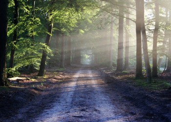 Are You on the Right Path