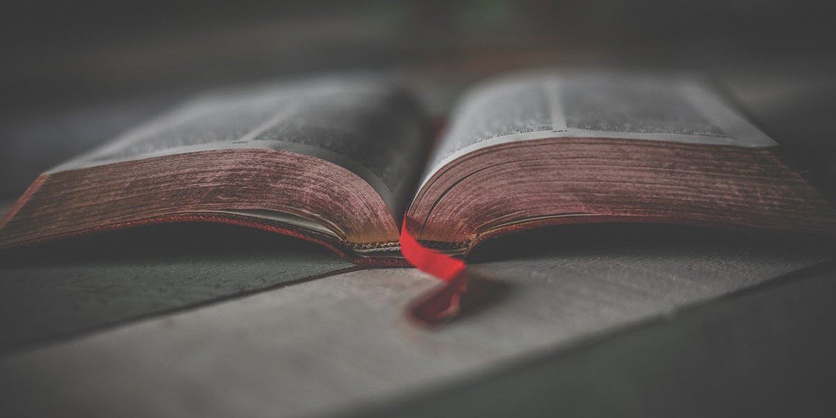 Book of Life I Daily Walk Devotion