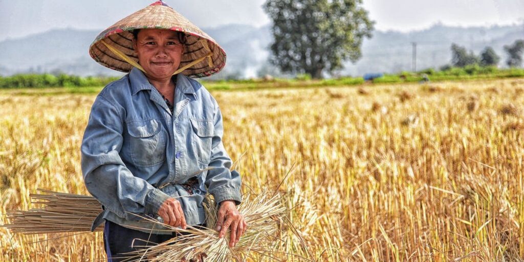 The Harvest is Ready I Daily Walk Devotion