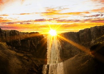 Renew Yourself