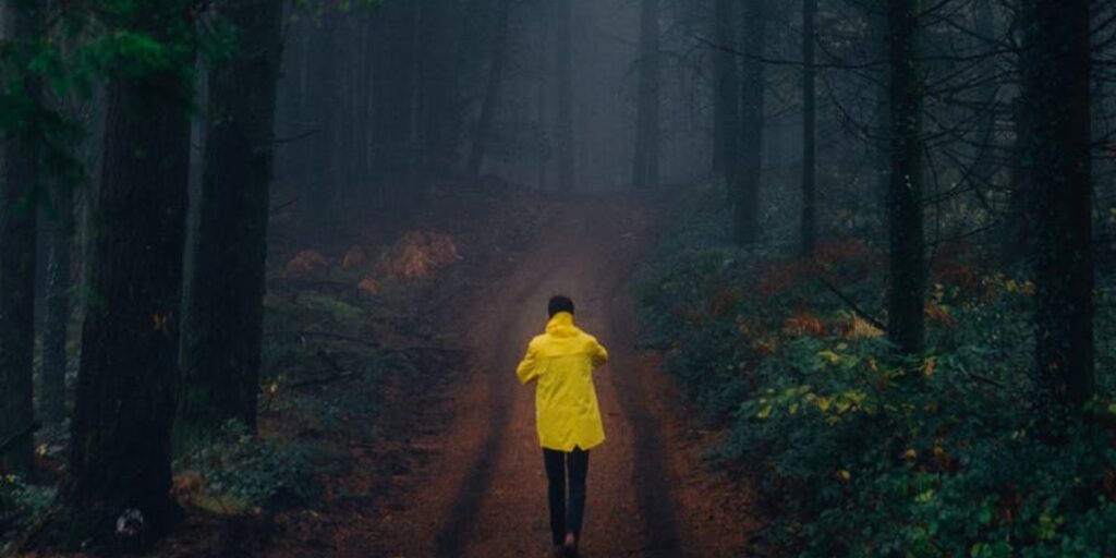Walk by Faith I Daily Walk Devotion