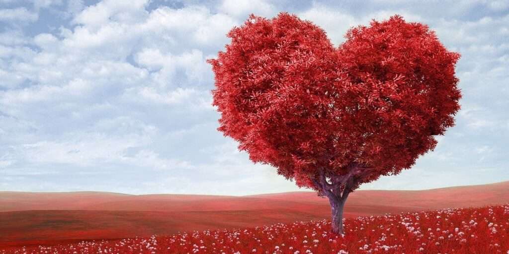 We Can't Comprehend God's Love I Daily Walk Devotion
