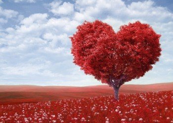We Can't Comprehend God's Love I Daily Walk Devotion