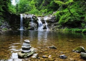 Season of Refreshing I Daily Walk Devotion