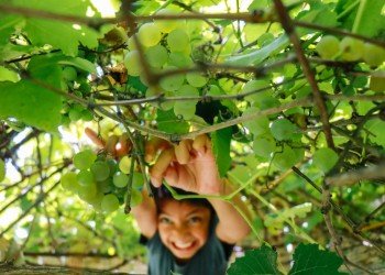 Break Free from Entanglements I Daily Walk Devotion
