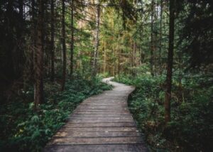 The Path to Peace and Healing I Daily Walk Devotion