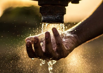 Purified and Forgiven