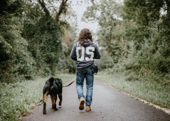 Walk Your Talk I Daily Walk Devotion