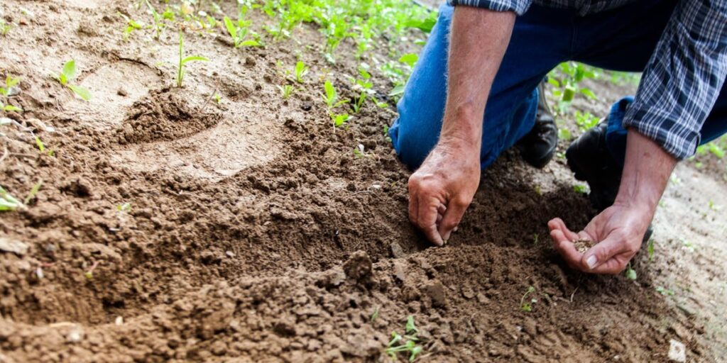 Cultivate a Heart to Know the Lord I Daily Walk Devotion