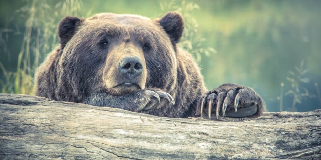 Too Big for Your Britches I Daily Walk Devotion