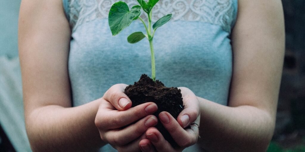 Is Your Heart Fertile Soil? I Daily Walk Devotion