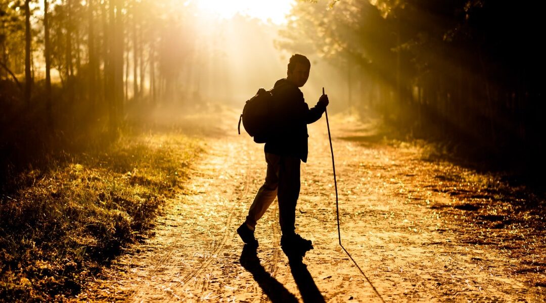 Walk in My Ways
