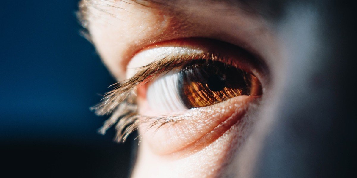 Your Eye is a Lamp I Daily Walk Devotion