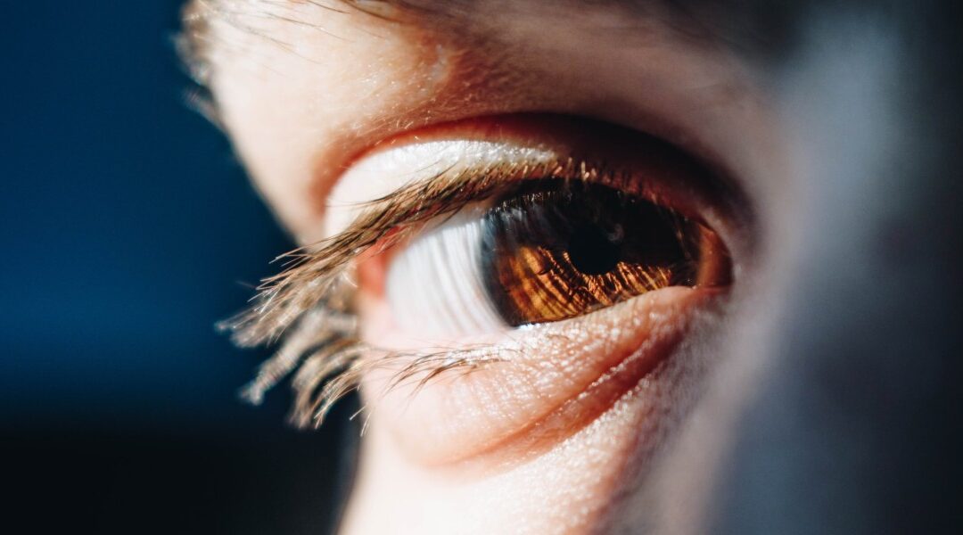 Your Eye is a Lamp