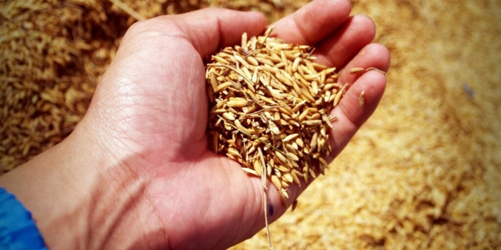 Sifted and Strengthened I Daily Walk Devotion