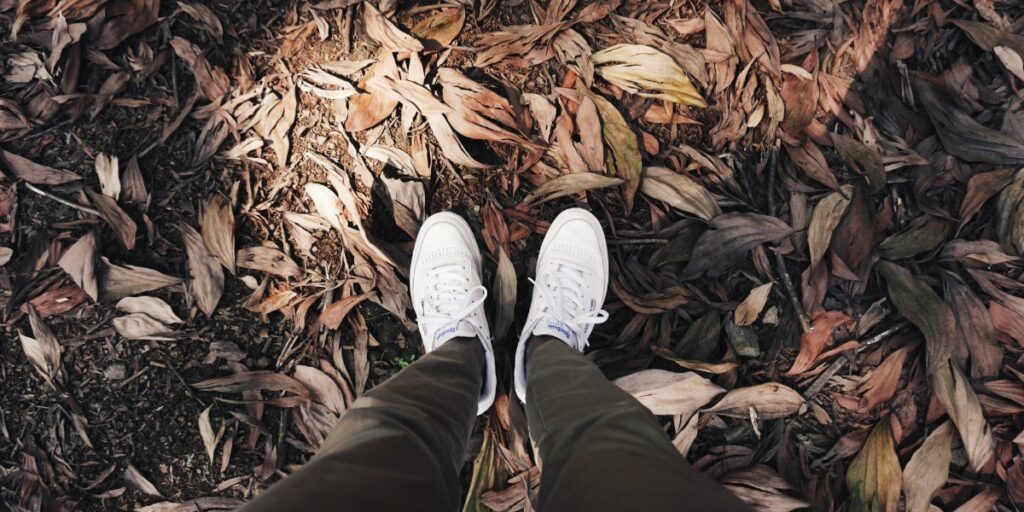 Desire to Do Right I Daily Walk Devotion