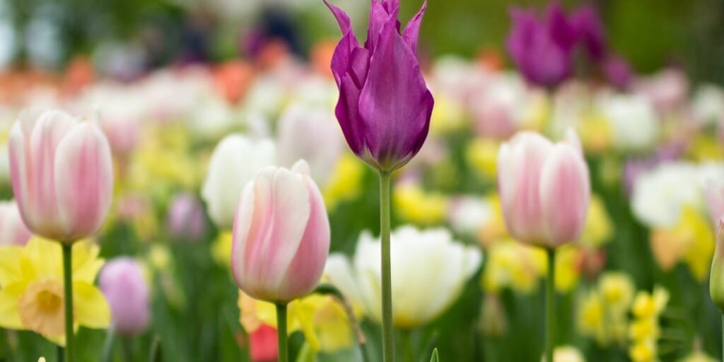 Seasons of Growth I Daily Walk Devotion