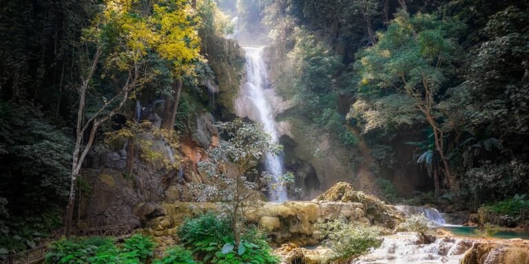 Finding Refuge in the Lord I Daily Walk Devotion
