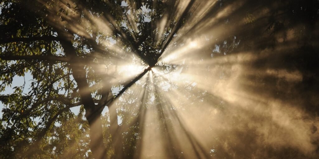The Light We Need I Daily Walk Devotion
