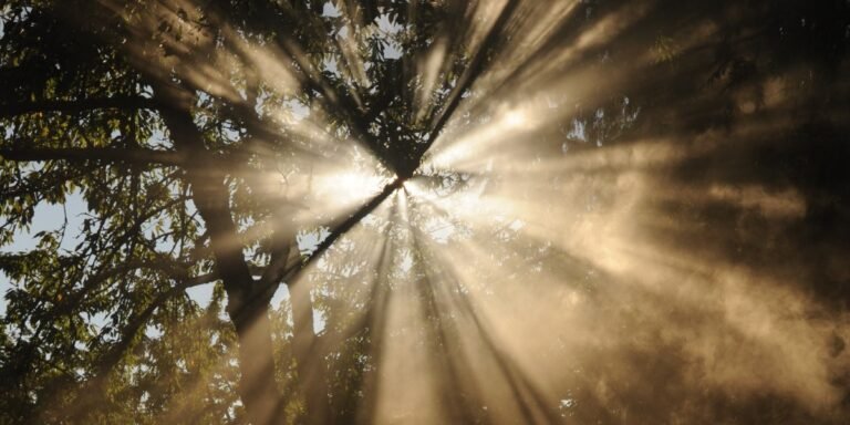 The Light We Need I Daily Walk Devotion