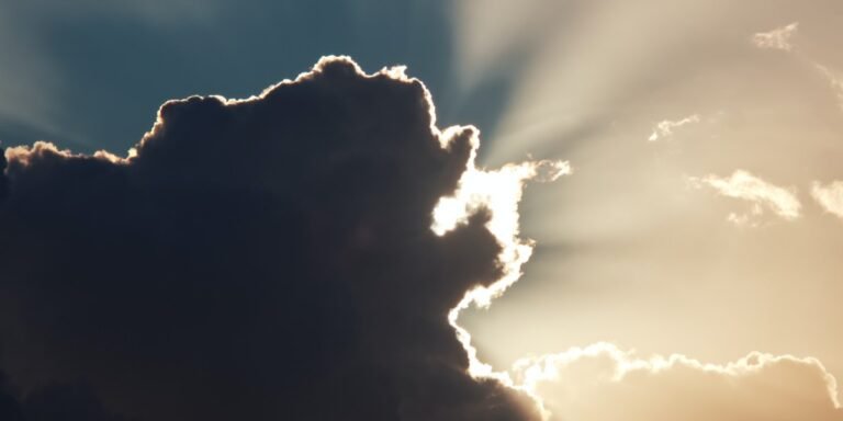 Put Your Full Trust in Jesus I Daily Walk Devotion