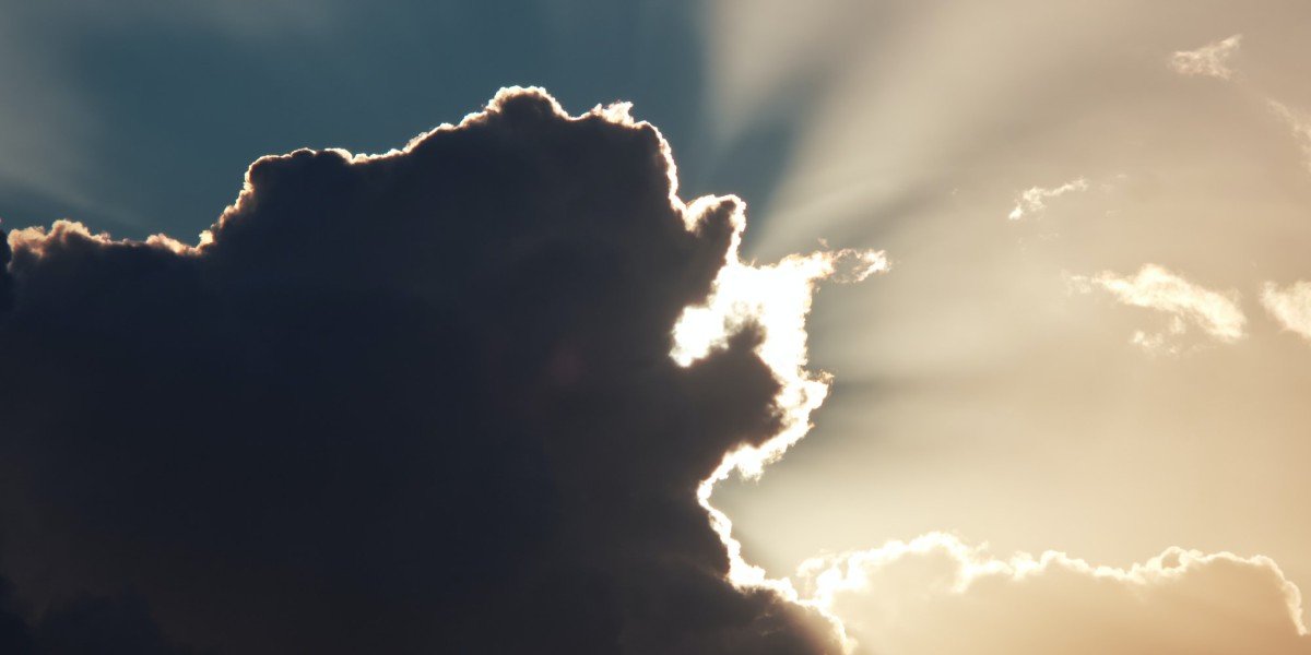 Put Your Full Trust in Jesus I Daily Walk Devotion