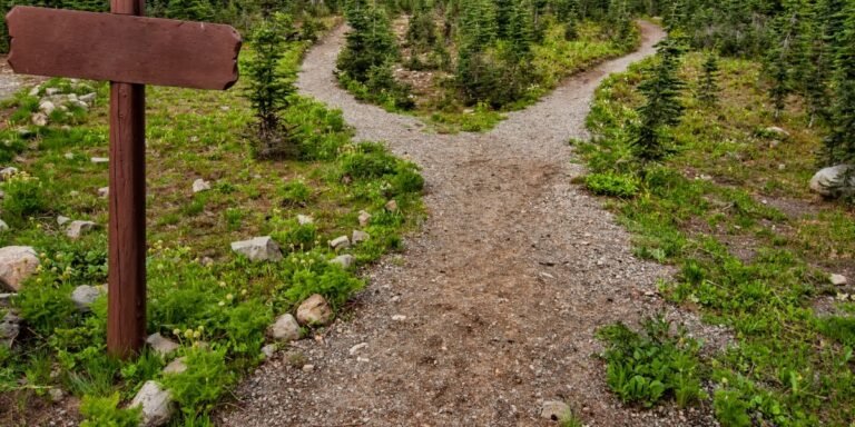 Jesus Provides the Way I Daily Walk Devotion
