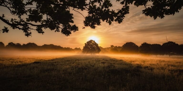 The God Who Works Wonders I Daily Walk Devotion
