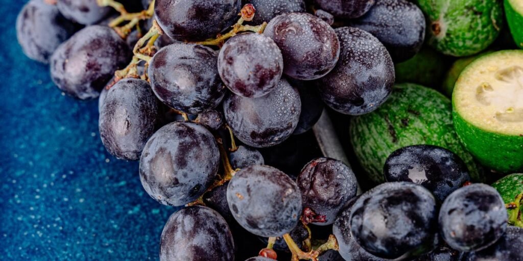Living the Fruitful Life I Daily Walk Devotion
