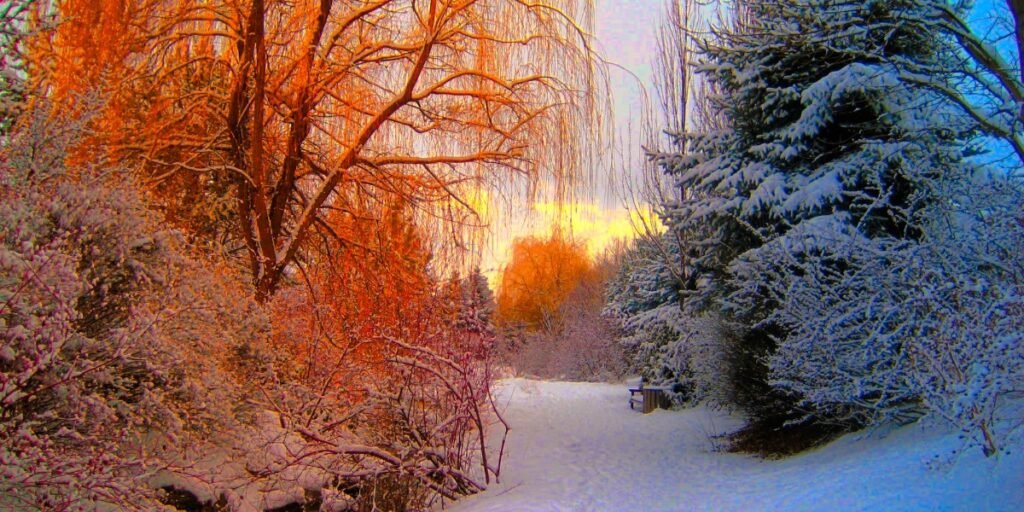 Used for a Season I Daily Walk Devotion