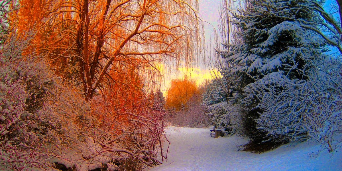 Used for a Season I Daily Walk Devotion