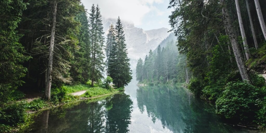Grow and Flourish I Daily Walk Devotion