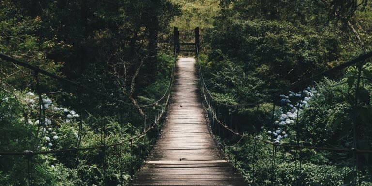 Jesus Is the Only Way I Daily Walk Devotion