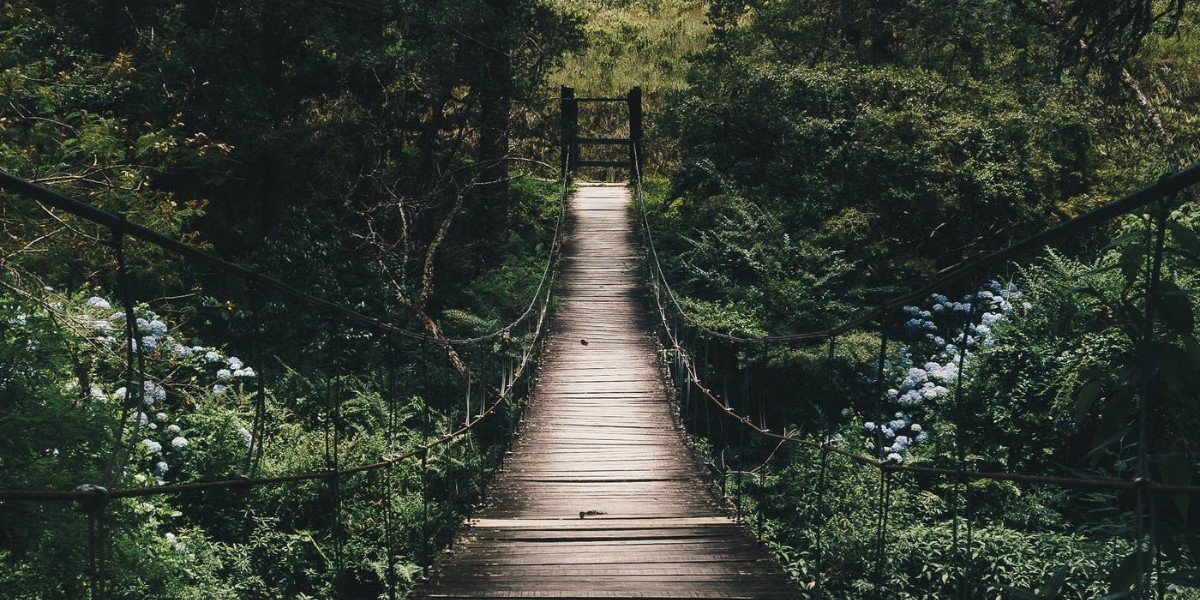 Jesus Is the Only Way I Daily Walk Devotion